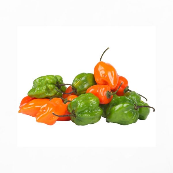 Habanero